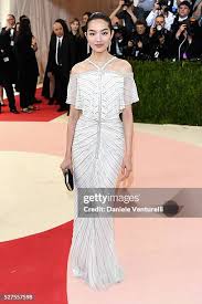 4,805 Fei Fei Sun Photos & High Res Pictures