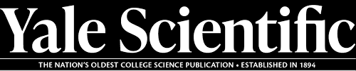 Use it in a creative project, or as a sticker you can share on tumblr, whatsapp, facebook messenger. Yale Scientific Magazine The Nation S Oldest College Science Publication