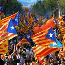 Aida Viñas Basagaña (@aidavb94)