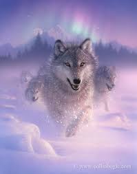 Wonderful And Beautiful Creatures Wolf Painting Wolf Spirit Animal Wolf Running