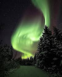 Aurora Live S Instagram Post Magical Lights At Our Resort Auroraborealisobservatory Tag In 2020 Beautiful Landscape Photography Northern Lights Earth Pictures