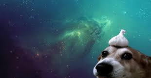 Aesthetic dog wallpaper for laptop. Dog Aesthetic Wallpapers Top Free Dog Aesthetic Backgrounds Wallpaperaccess