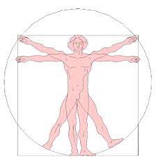 Highhill Homeschool Leonardo Da Vinci Vitruvian Man Activity For Kids Da Vinci Vitruvian Man Vitruvian Man Da Vinci Art