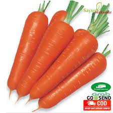 Mewarnai gambar sayur wortel gambar mewarnai wortel. Wortel Harga Terbaik Agustus 2021 Shopee Indonesia