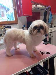 https://encrypted-tbn0.gstatic.com/images?q=tbn:ANd9GcRgNSxmfWt8K4ZmiuEm9D7AjTbcji-IkZLok9ZjHEyq3zP0dmmb3ZrOAvS7gdpTg-vA3lw&usqp=CAU
