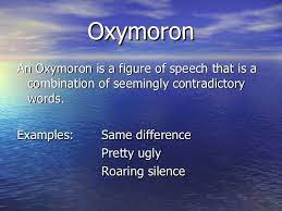 Literary Terms Powerpoint Literary Terms Figure Of Speech Words