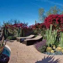 Undulating Pool Plantings Phoenix Home Garden Small Garden Landscape Simple Landscape Design Southwest Landscaping