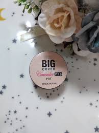 Etude House Big Cover Skin Fit Concealer Pro отзывы Konsiler Etude House Big Cover Otzyvy Pokupatelej