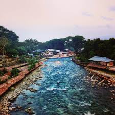 Apply jungle balm to effected areas and lightly rub it in. Bukit Lawang Where Everybody Knows Your Name