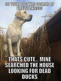 Pin On Hunting Life