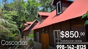 Image result for tbn:xX3UNS9Jgye8JM::www.hoteleseconomicosmexico.com/fotos/chiapas/agua-azul/cascadas-de-agua-azul-chiapas.jpg