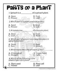 Weather worksheets and weather quizzes. 98 2nd Grade Science Life Cycles Ideas Science Life Cycles Life Cycles Cycle