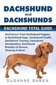 Born on july twenty fifth this year. Dachshund And Dachshunds Dachshund Total Guide Dachshund From Dachshund Puppies To Dachshund Dogs Dachshund Health Dachshund Training Dachshund Socialization Breeders Rescue Showing English Edition Ebook Saben Susanne Amazon De