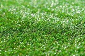 Our denver store and warehouse are open to the public and to landscape contractors. Have A Green Lawn Year Long Making The Switch To Artificial Turf Beautyharmonylife