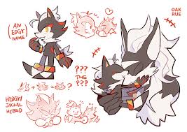 Oak Rue On Twitter Shadow The Hedgehog Sonic And Shadow Sonic Fan Art