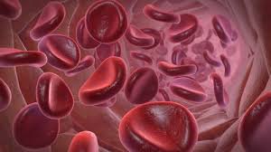 Pin On Health Science For Kids