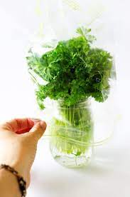 How to store fresh parsley. How To Store Parsley This Hack Will Keep Your Herbs Fresh For Weeks
