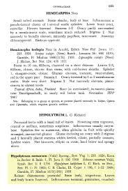 Image result for Hypolytrum