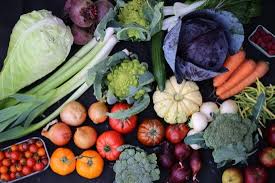 The garden pest that has caused the most concern for organic gardeners in recent years has been the cabbage worm. Sowing Timeline For Vegetables Charles Dowding