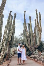 Cactus gardens is a moderately walkable neighborhood in phoenix with a walk score of 53. Top Spots To Visit In Scottsdale Places To Go Proposal Spots Tall Cactus