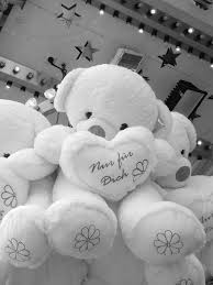 White bear in all categories. Black And White Plush Bear 1080p 2k 4k 5k Hd Wallpapers Free Download Wallpaper Flare