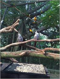 Other highlights of sunway lagoon wildlife park include executive director of sunway theme parks mr. Sunway Lagoon Wildlife Park And Petting Village Home Is Where My Heart Is