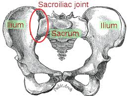 Image result for Pelvic Compression Test