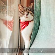 Hd wallpapers and background images Pet Neckwear Pet Supplies 4th Of July Dog Bandana Usa Cat Bandana Independence Day Puppy Bandana Over The Collar Usa Dog Scarf Dog Lover Gift