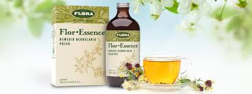 Fluorescence is brought about by absorption of photons in the singlet ground state. Flor Essence Mexico