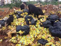 Image result for all kinds maggi in india