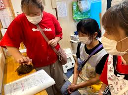 小規模認可保育園 はぐくみ保育園 -