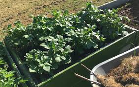 Image result for site:byggahus.se grus odlingslådor