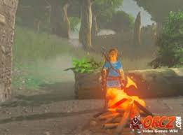 Zelda is classified as fighter. Breath Of The Wild Campfire Orcz Com The Video Games Wiki