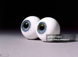 Image result for eye balls