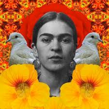 Noemi Salgado (noemisalgado376)