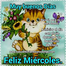 Buenos Dias Miercoles Graciosos Imagenes De Bonitas Para Descargar Gratis