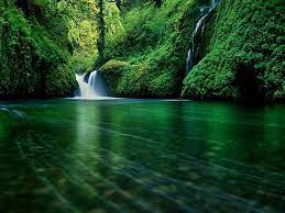 High Resolution Waterfalls Nature Wallpapers Free Waterfall Waterfall Waterfall Wallpaper Forest Waterfall