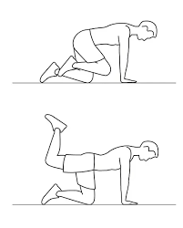 Feb 21, 2021 · some yoga asanas, when incorporated with pranayama breathing, focus on reducing belly fat by actively involving the core muscles while drawing the belly to the spine. 15 Best Yoga Asanas To Reduce Belly Fat Styles At Life