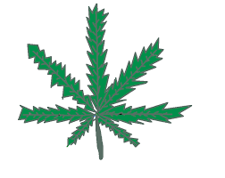 Want To Learn How To Draw A Weed Plant? | Piece Of Mind Cannabis