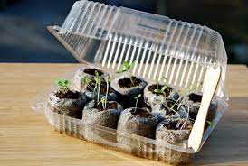 The primary consideration is that sprouts and wheatgrass need to grow in a climate controlled environment. Make A Mini Greenhouse With Recycled Items New England Today