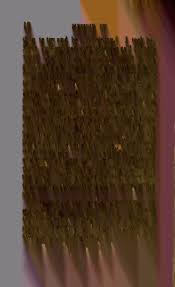 Memoir of Florence Kidder, who died in Medford, Mass., April, 1832