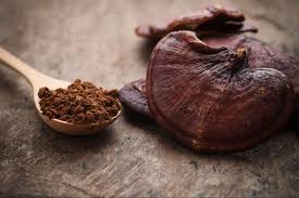 Image result for Ganoderma lucidum