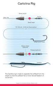 Robot Check Fishing Knots Fishing Rigs Largemouth Bass Fishing