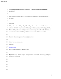 Image result for Exochaenium gracile