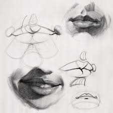 How To Draw Lips Anatomy And Structure Portrait Drawing Lips Drawing Anatomy Drawing
