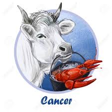 The water signs correlate with human emotions, the feelings we experience in our families and with our friends, the power of intimacy, and the need for purpose in our lives. Cancer Metal Ox Year Horoscope Zodiac Sign Isolated Digital Stock Photo Picture And Royalty Free Image Image 138884733