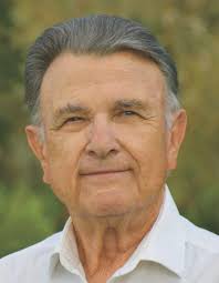 Pearl River mayoral candidates tout business chops, concern for town