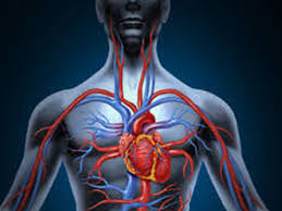 Check spelling or type a new query. Nuevo Servicio De Angiologia Y Cirugia Vascular Cem Vilassar