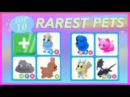 Top 10 Rarest Pets In Adopt Me Youtube Pets Adoption Pet Dragon