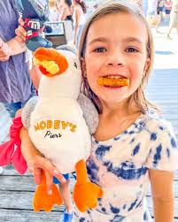 The people have spoken, and the results are not so shocking 🏆 The Original  Sunny the Seagull has officially claimed the title of best bird in town! No  upsets here—just one beloved